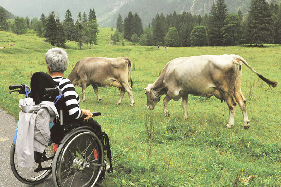 Das Bild zeigt eine Frau im Rollstuhl neben einer Kuhweide.